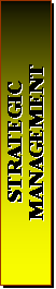 Text Box: STRATEGIC MANAGEMENT