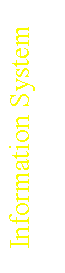Text Box: Information System