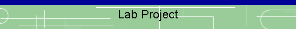 Lab Project
