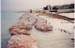 coastal-2