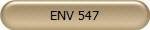 ENV 547
