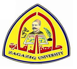 Image result for zagazig university