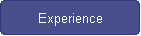 Experience