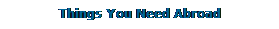 Text Box:              Things You Need Abroad
