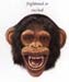 chimpanzee4-FrightenedFace
