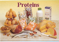 Proteins