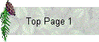 Top Page 1