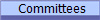  Committees