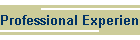 Professional Experience