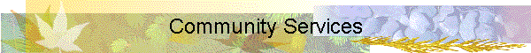Community Services