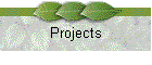 Projects