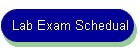 Lab Exam Schedual