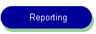 Reporting