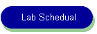 Lab Schedual