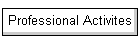 Professional Activites