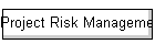 Project Risk Management