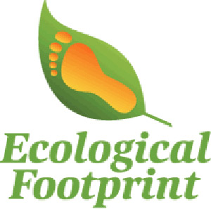 foot