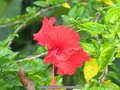 Malaysia-11