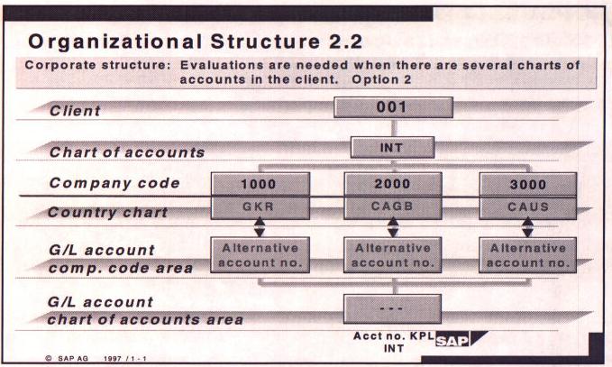 Sap Chart Of Accounts Structure