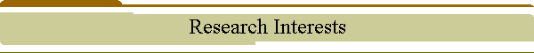 Research Interests