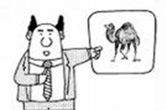 phb-perl