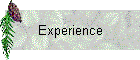 Experience