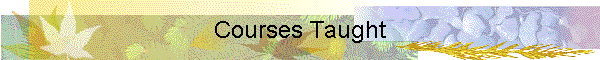Courses Taught