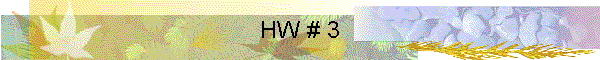 HW # 3