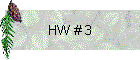 HW # 3