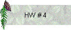 HW # 4
