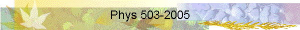 Phys 503-2005