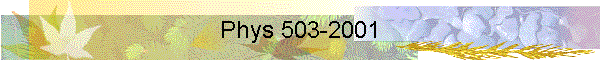 Phys 503-2001