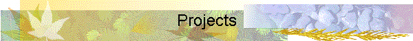 Projects