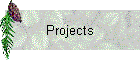 Projects