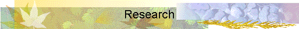 Research