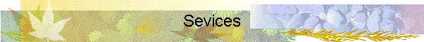 Sevices