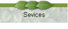 Sevices