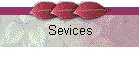 Sevices