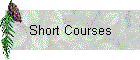 Short Courses