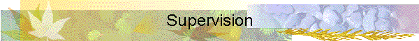 Supervision