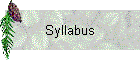 Syllabus