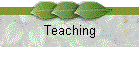 Teaching