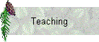 Teaching