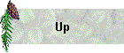 Up